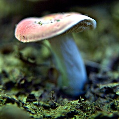 DSC 0457
