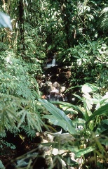 Riviere-casc-saut-gendarme2