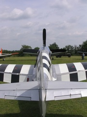 36